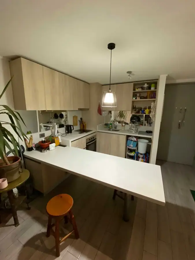 Depto en venta Av Italia piso 15, foto 4