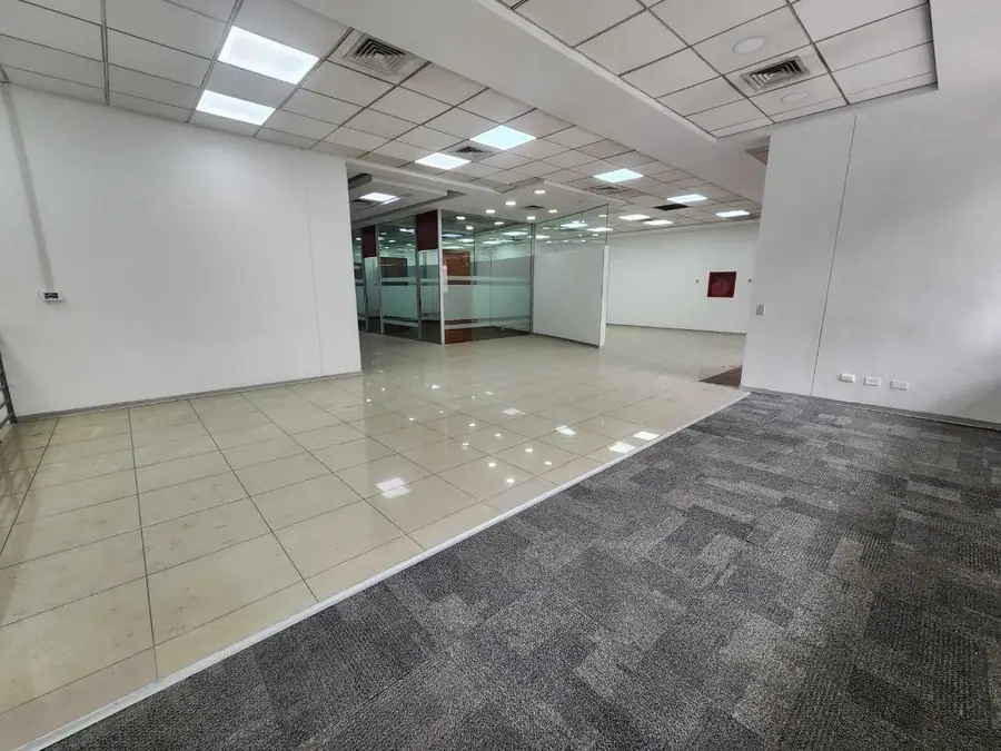 Local Comercial 520 m² en Providencia, foto 10