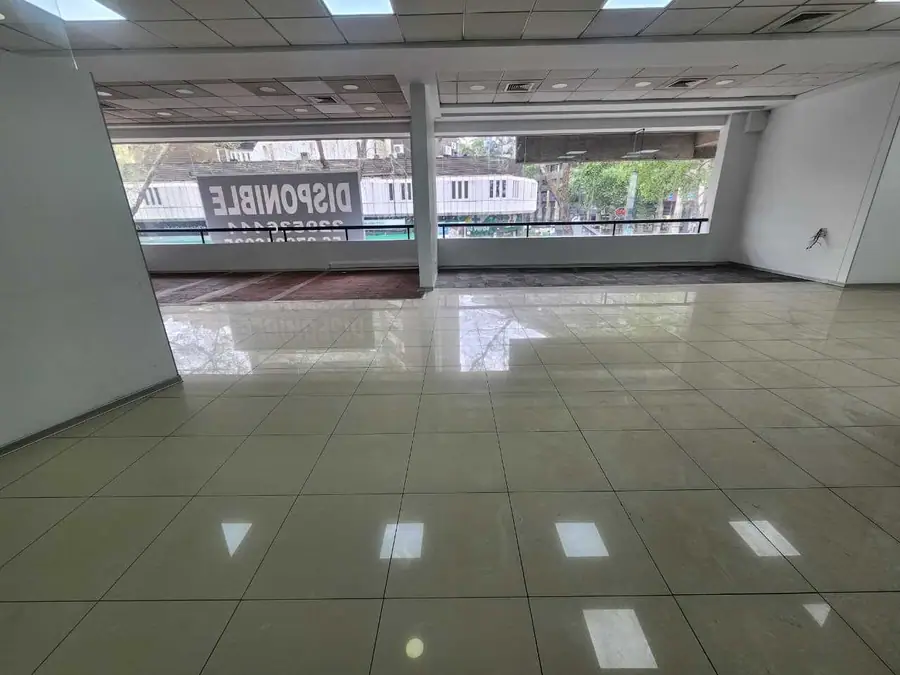 Local Comercial 520 m² en Providencia, foto 3